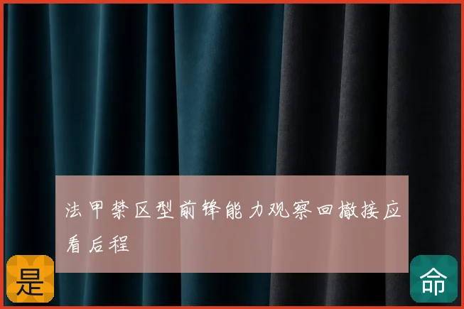 法甲禁区型前锋能力观察回撤接应看后程